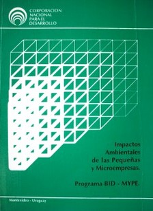 Impactos ambientales de las pequeñas y microempresas