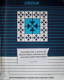 Encuesta INE a MYPES de Montevideo : información complementario