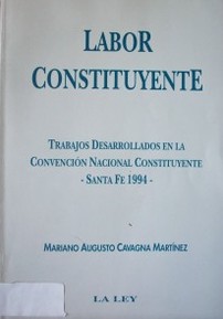 Labor constituyente