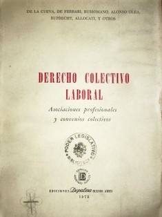 Derecho colectivo laboral : asociaciones profesionales y convenios colectivos