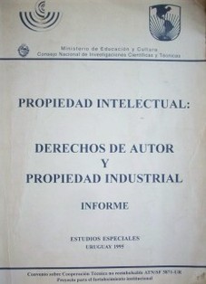 Propiedad intelectual : derechos de autor y propiedad industrial : informe