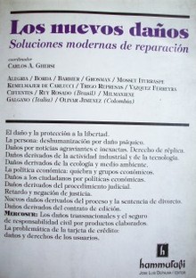 Los nuevos daños : soluciones modernas de reparación