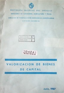 Valorización de bienes de capital