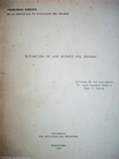 Situación de los bienes del bígamo