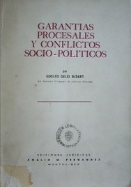 Garantías procesales y conflictos socio-políticos