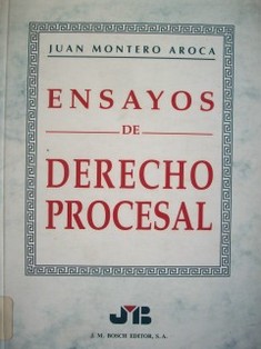 Ensayos de derecho procesal