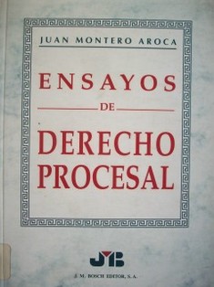 Ensayos de derecho procesal