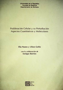 Proliferación celular y su perturbación : aspectos cuantitativos y moleculares