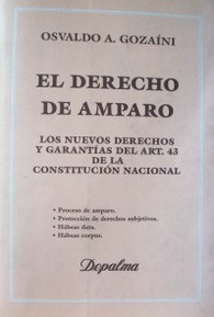 El derecho de amparo : los nuevos derechos y garantías del art. 43 de la Constitución Nacional