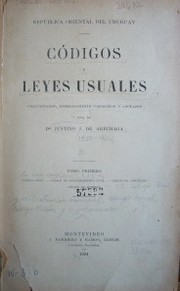 Códigos y leyes usuales