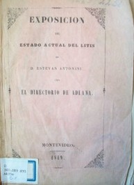 Exposición del estado actual del litis de Estevan Antonioni con el Directorio de Aduana