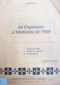 La coyuntura a mediados de 1989