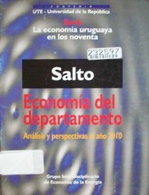 Salto : economía del departamento : análisis y perspectivas al año 2010