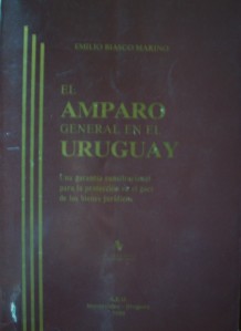 El amparo general en el Uruguay : una garantía constitucional para la protección en el goce de los bienes jurídicos