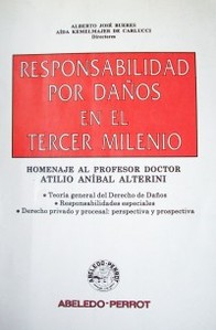 Responsabilidad por daños en el tercer milenio