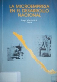 La microempresa en el desarrollo nacional