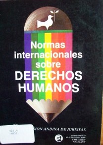 Normas internacionales sobre derechos humanos