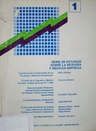 Serie de estudios sobre la pequeña y mediana empresa
