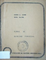 Temas de Derecho Procesal