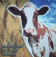 Producción de carne vacuna