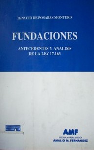 Fundaciones : antecedentes y análisis de la Ley 17.163