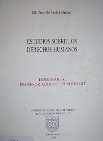 Estudios sobre los derechos humanos