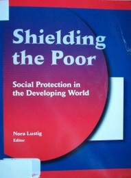 Shielding the poor : social protection in the developing world
