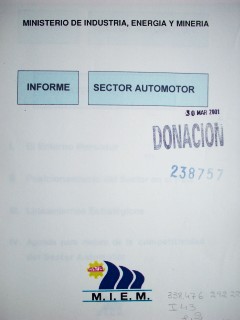 Informe : sector automotor