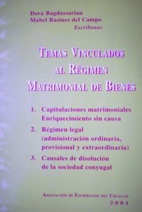 Temas vinculados al régimen matrimonial de bienes