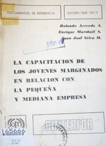 La capacitación de los jóvenes marginados en relación con la pequeña y mediana empresa