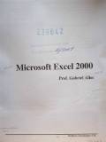 Microsoft Excel 2000