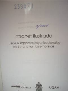 Intranet ilustrada : usos e impactos organizaciones de Intranet en las empresas