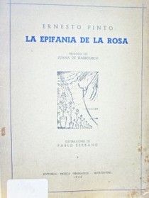 La epifania de la rosa