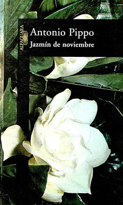 Jazmín de noviembre