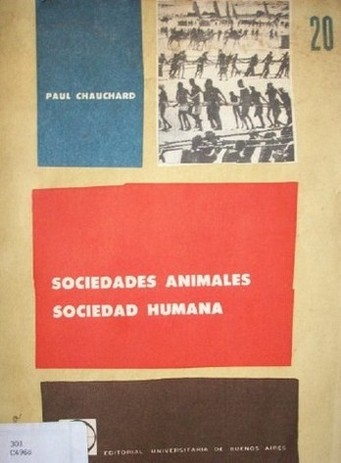 Sociedades animales, sociedad humana