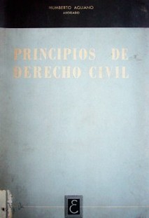 Principios de derecho civil