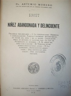 Niñez abandonada y delincuente