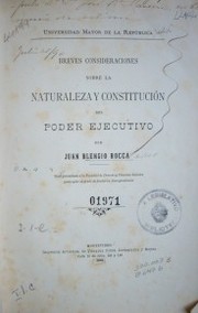 Breves consideraciones sobre la naturaleza y constitución del Poder Ejecutivo