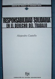 Responsabilidad solidaria en el derecho del trabajo :  (con especial referencia al derecho rioplatense)