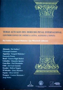 Temas actuales del Derecho Penal Internacional : contribuciones de América Latina, Alemania y España