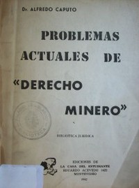 Problemas actuales de Derecho Minero