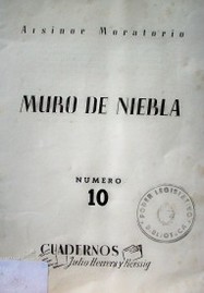 Muro de niebla