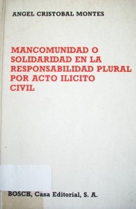 Mancomunidad o solidaridad en la responsabilidad plural por acto ilícito civil