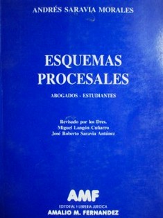 Esquemas procesales : abogados - estudiantes