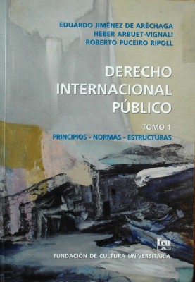 Derecho Internacional Público : principios, normas y estructuras