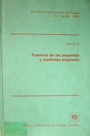 Fomento de las pequeñas y medianas empresas : sexto punto del orden del día : informe VI