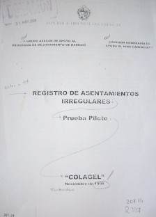 Registro de asentamientos irregulares : prueba piloto : "Colagel"