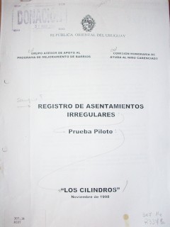 Registro de asentamientos irregulares : prueba piloto : "Los Cilindros"