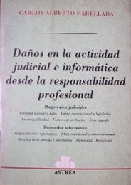 Daños en la actividad judicial e informática desde la responsabilidad profesional