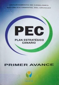 PEC : Plan Estratégico Canario : primer avance